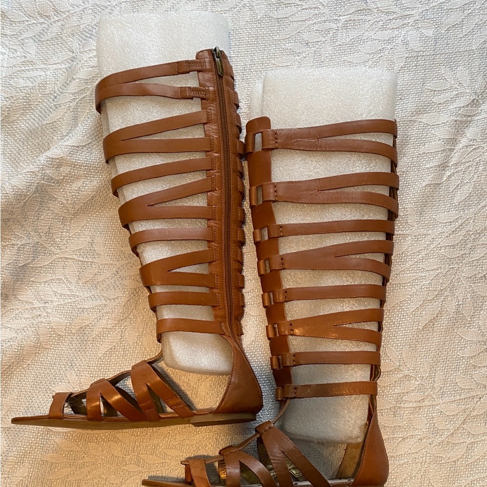 Sam Edelman Brown Strappy Gladiator Knee-High Sandals
